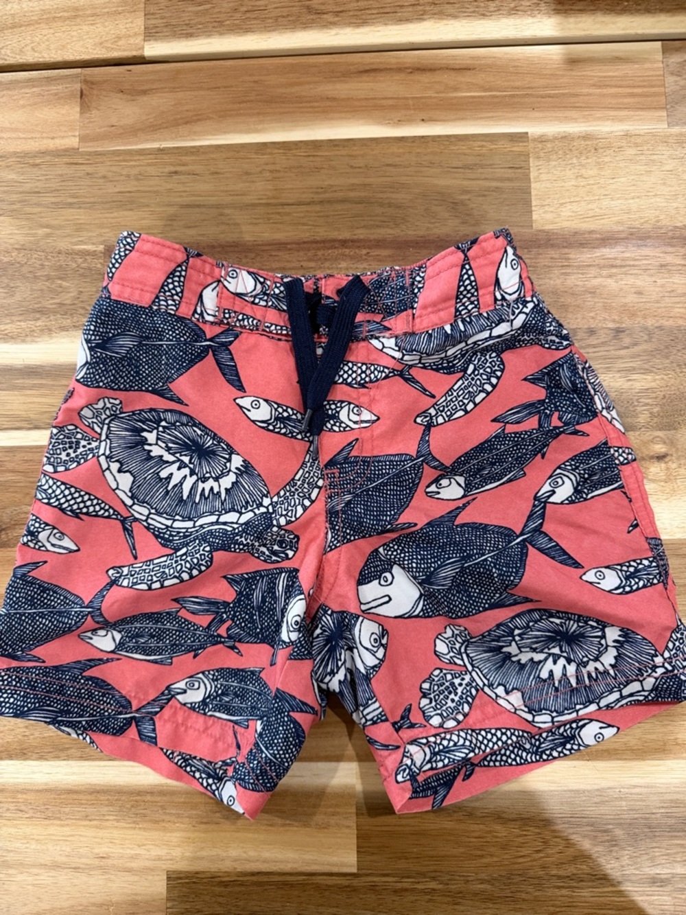 Janie and Jack Coral Swim Shorts with Fish & Turtles  Print size 18-24 month